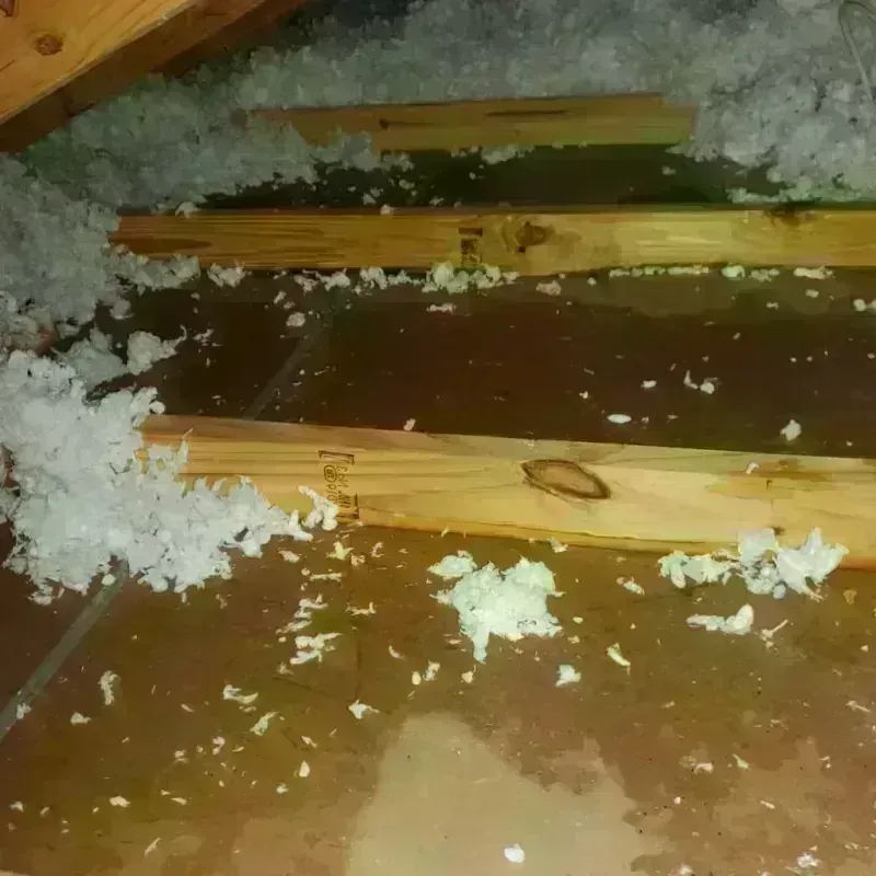 Best Attic Water Damage Service in Lenox, MA